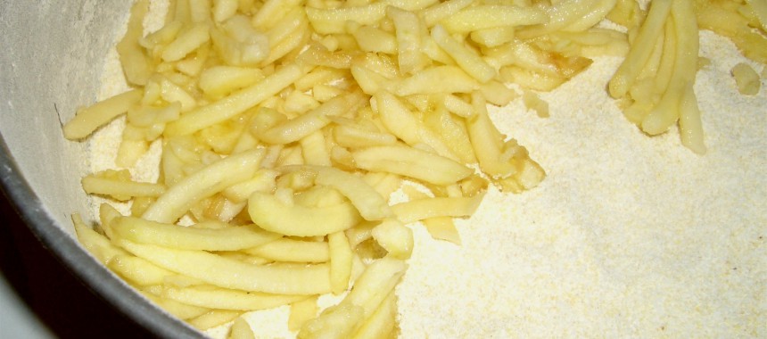 Tarta de Manzana Polaca