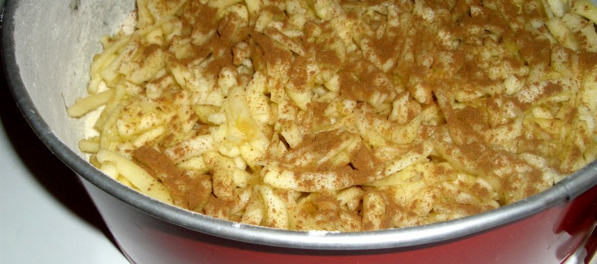 Tarta de Manzana Polaca