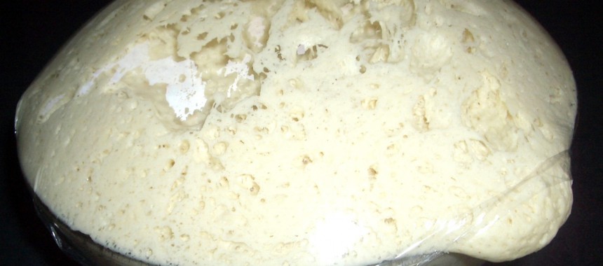 Pan de Parma