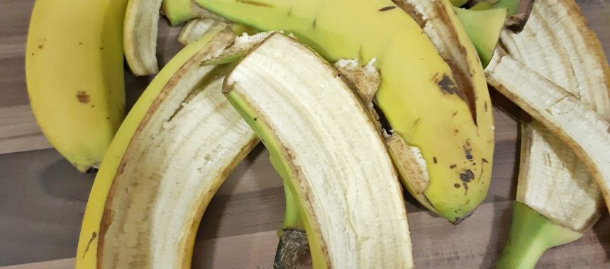 Abono con Cáscaras de Plátano